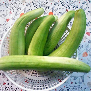 Hạt Giống Dưa Gang Xanh Qủa Dài (150 Hạt) - Năng Suất , Qủa Thơm Ngon - MUA 3 TẶNG 1 CÙNG LOẠI