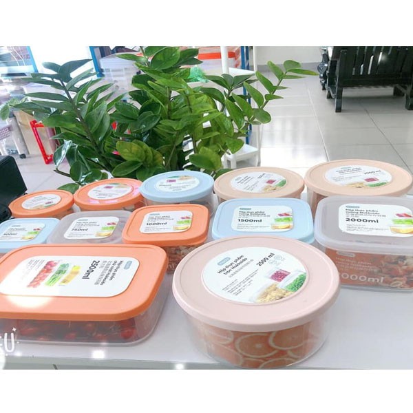 [6size] Hộp Đựng Thức Ăn, Hộp Bảo Quản Thực Phẩm An Toàn Nhựa Loại Tròn Inochi | BigBuy360 - bigbuy360.vn