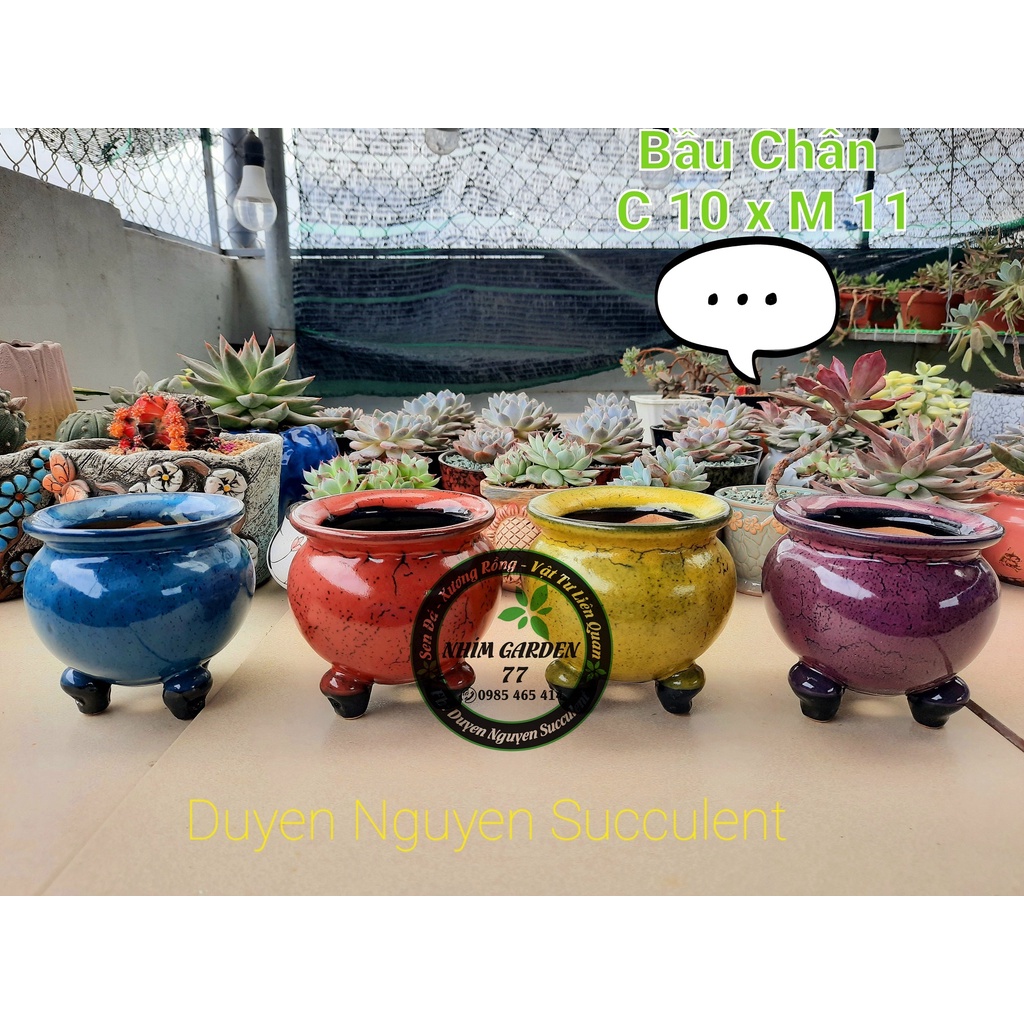 Chậu tròn có chân kiểu Hàn Quốc trồng sen đá, xương rồng. Kích thước cao 10 x 11cm
