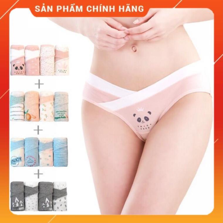 Sét 4 Quần Lót Bầu Cotton Cao Cấp Túi Zíp 20020