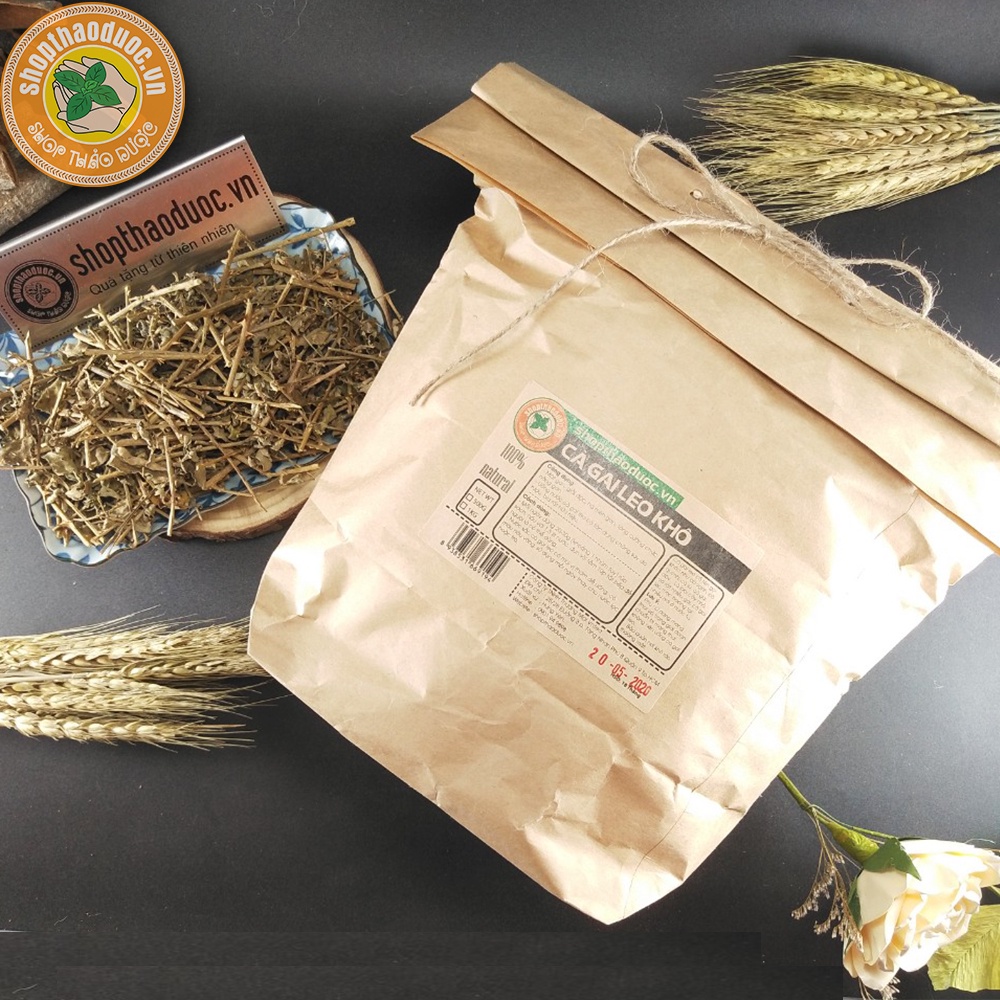 Cà gai leo gói 500g - Hỗ trợ tốt cho gan