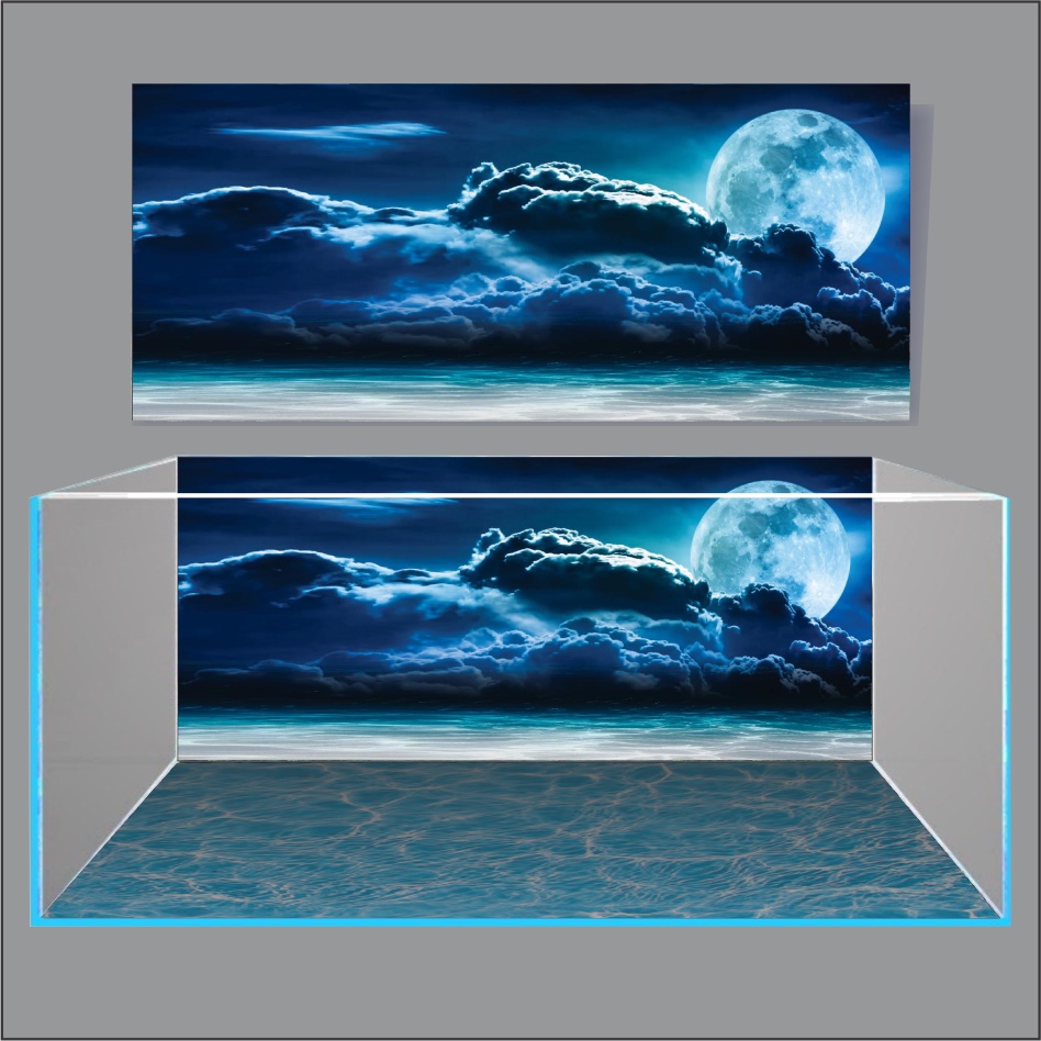 TRANH 3D DÁN HỒ CÁ NEW MOON LIGHT_TRANH LƯNG