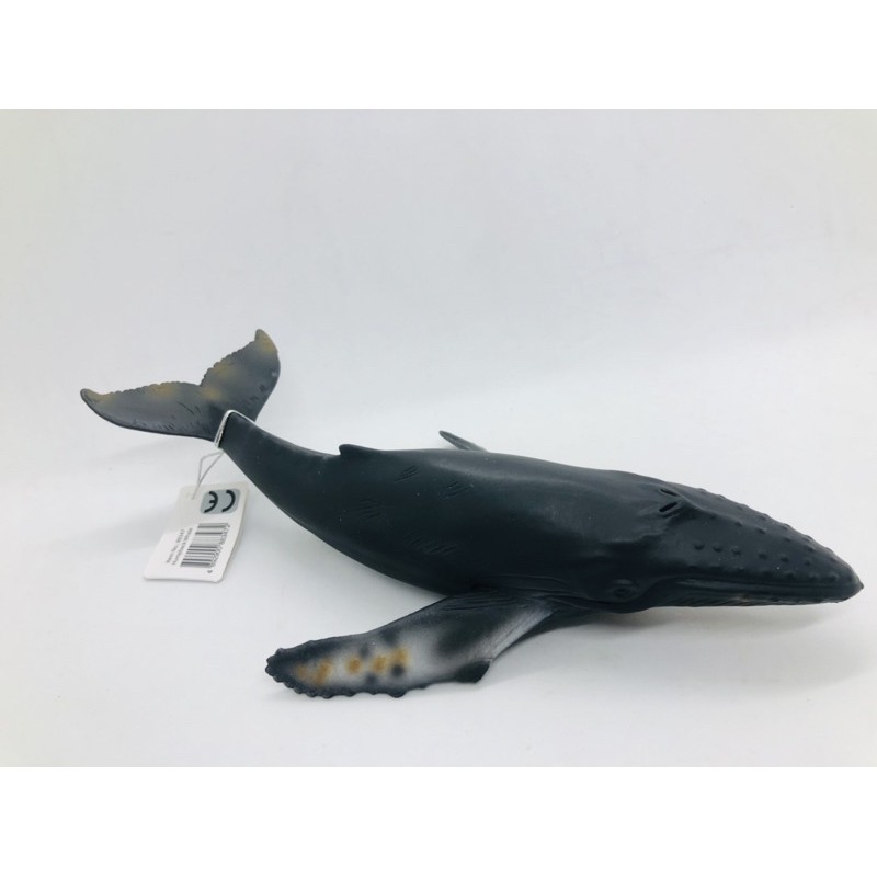Mô hình động vật , đồ chơi con vật CollectA chính hãng Cá voi lưng gù 88347 - Schleich House
