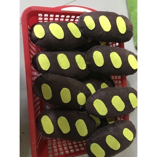 Bánh mỳ đồ dùng mầm non