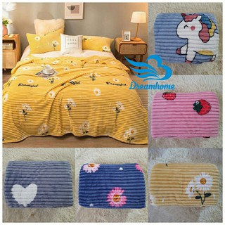 Chăn nhung tuyết hè thu kẻ tăm, Chăn văn phòng họa tiết chuẩn loại 1, 2mx2m2 - 1kg