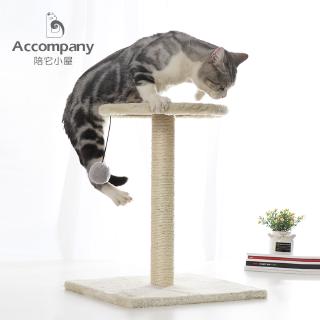 Mèo leo núi khung nhảy nhỏ nền tản