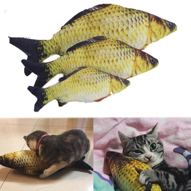 Catnip cho mèo hình cá 3D nhồi bông