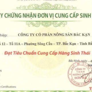 TINH BỘT NGHỆ BẮC CẠN 220G
