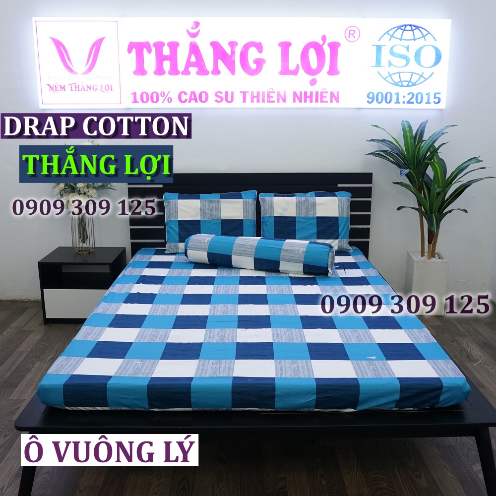 (ảnh thật) bộ drap cotton Thắng Lợi Ô VUÔNG LÝ chính hãng