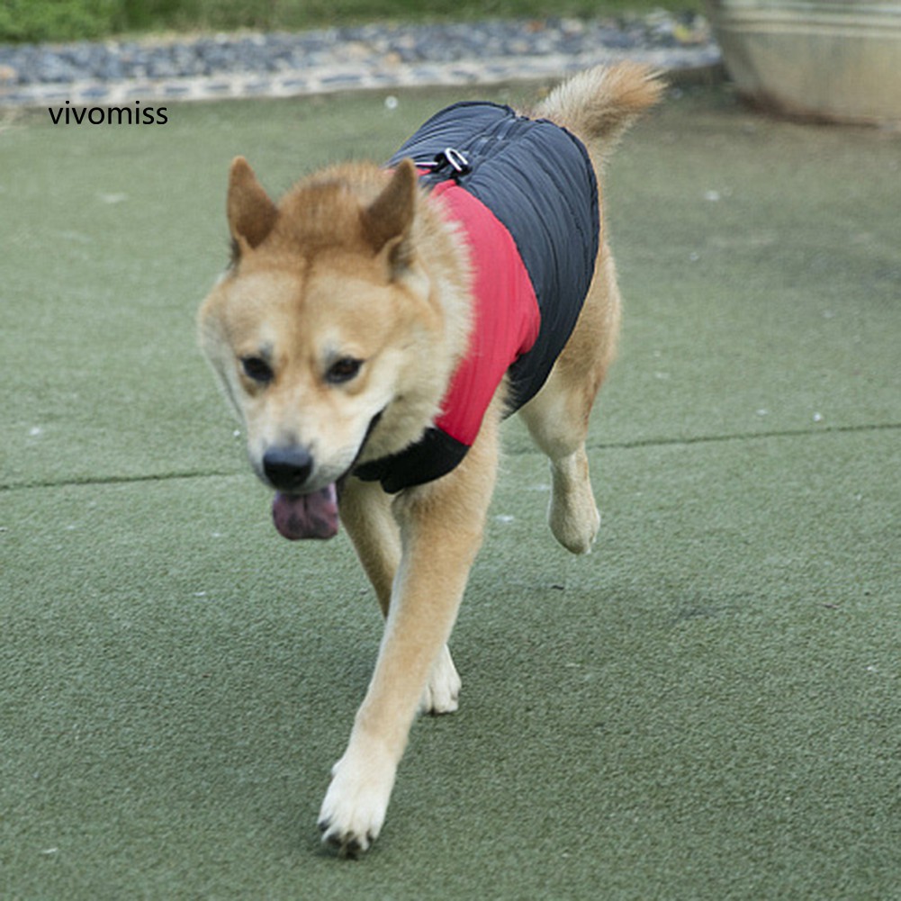 Áo Khoác Mùa Đông Cho Thú Cưng