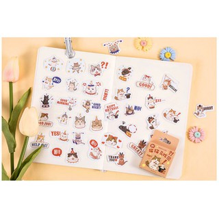 Bộ 46 Sticker Mèo Ảo Thuật E110