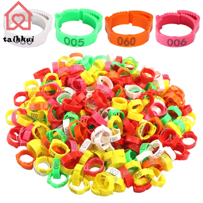100 Vòng đánh dấu chân dùng một lần kèm chữ phù hợp cho gà/ vịt/ ngỗng