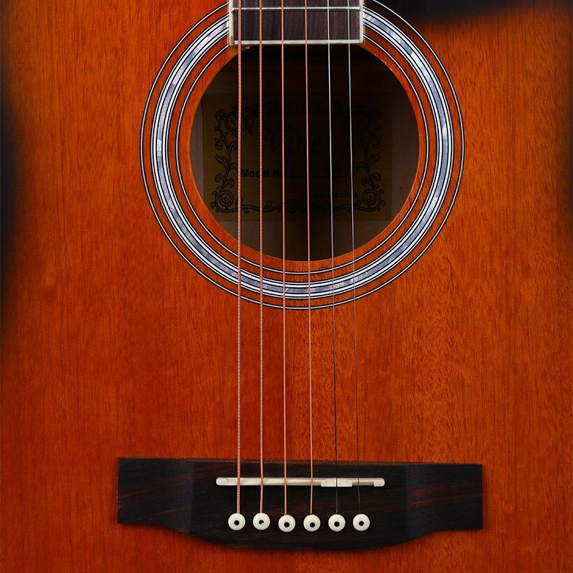 Đàn guitar Acoustic Vines VA4140MAS + bộ phụ kiện - Sol.G