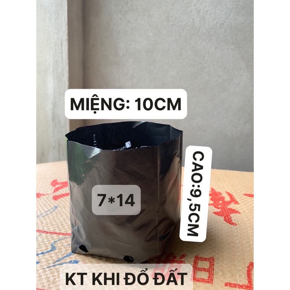 1KG TÚI ƯƠM CÂY MÃ 7*14 ( KÍCH RỄ, MẦM CÂY XANH LÁ, DỊCH TRUYỀN CHO CÂY, BẠT CỎ...)
