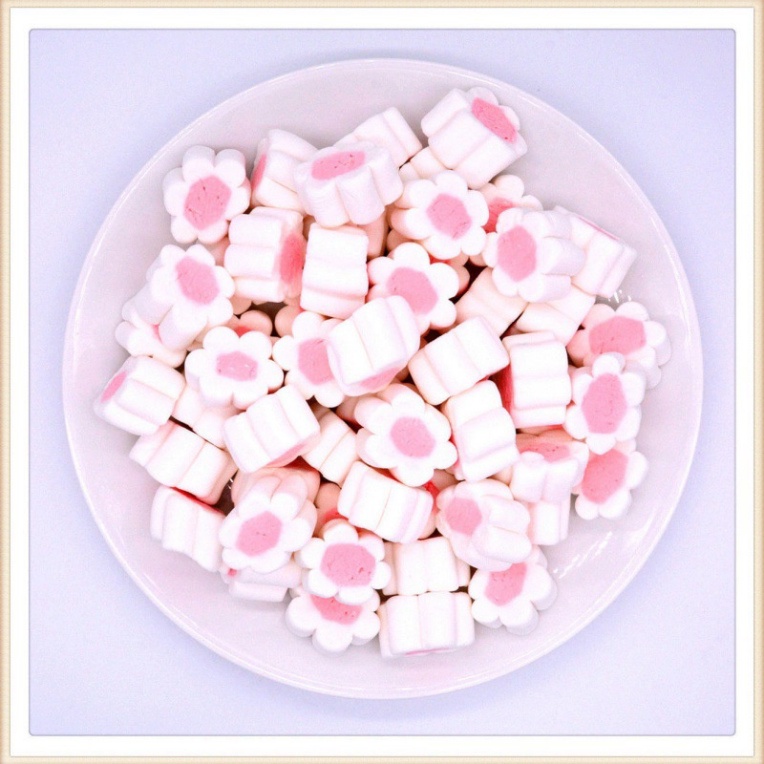 Đồ trang trí bánh sinh nhật  500g-1kg kẹo xốp marshmallow