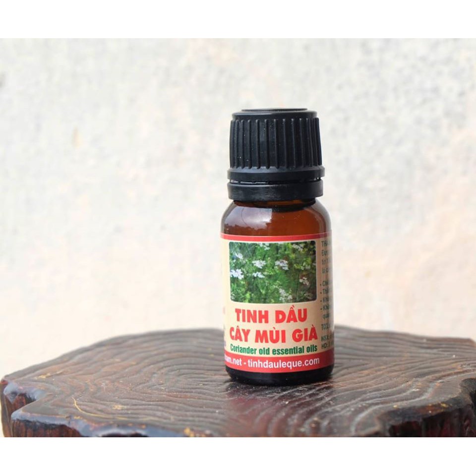TINH DẦU MÙI GIÀ - LÊ QUẾ