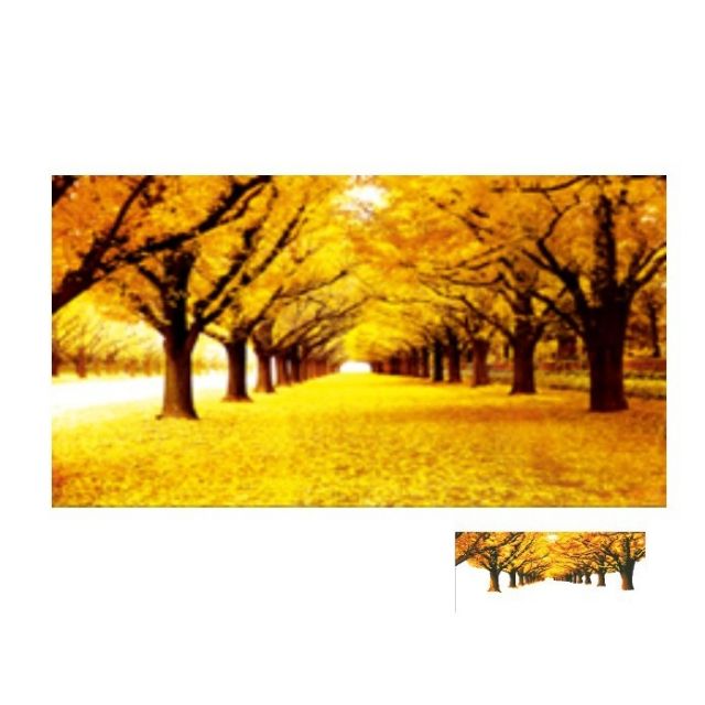 Tranh thêu Mùa thu lá vàng 105x63cm LV3303