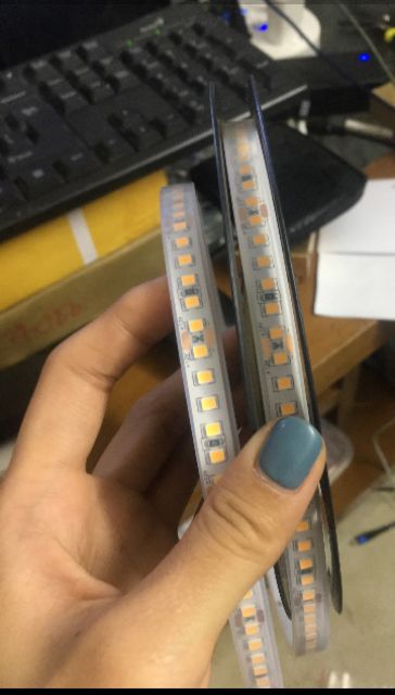 Led dây 12v 5m chống nước  2835 168P