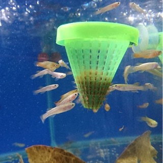 Rọ đựng trùn chỉ cho cá cảnh ăn