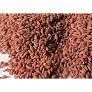 Hạt đình lịch/ hạt ngũ hoa 100gr