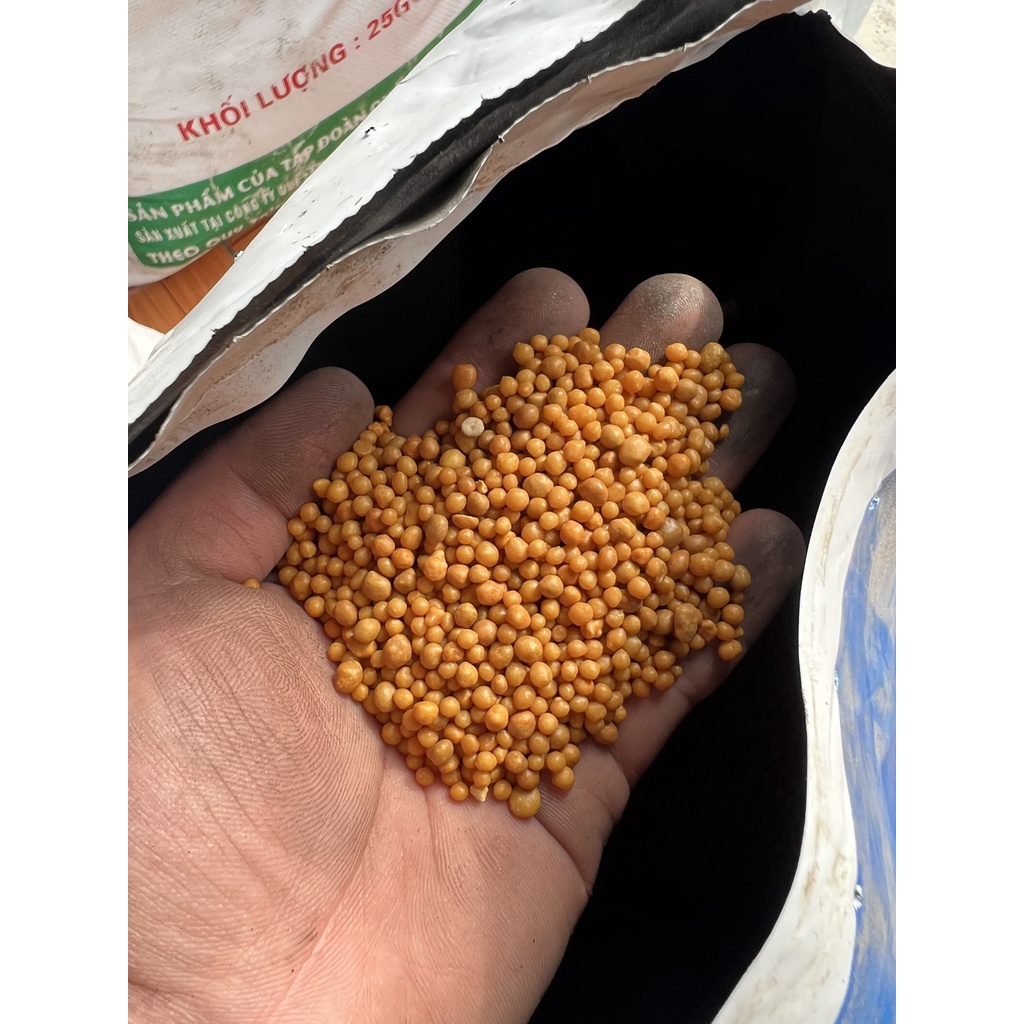 Phân tan chậm hạt vàng Osmocote 14-14-14 dùng hoa cho hoa lan, hoa hồng, cây cảnh, sen đá túi 100g