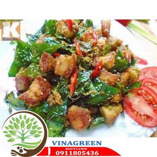 cây móc mật