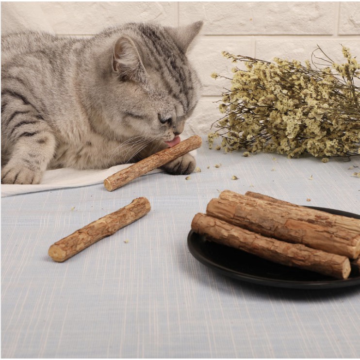 [Mã PET50K giảm Giảm 10% - Tối đa 50K đơn từ 250K] Cây gỗ bạc hà catnip cho mèo gặm giúp sạch răng thơm miệng