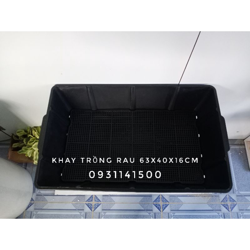 Khay nhựa dẻo trồng rau