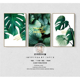 Bộ 3 tranh canvas treo tường lá cây nhiệt đới trẻ trung TTC9831 - 30 x 45 cm x 3 tranh