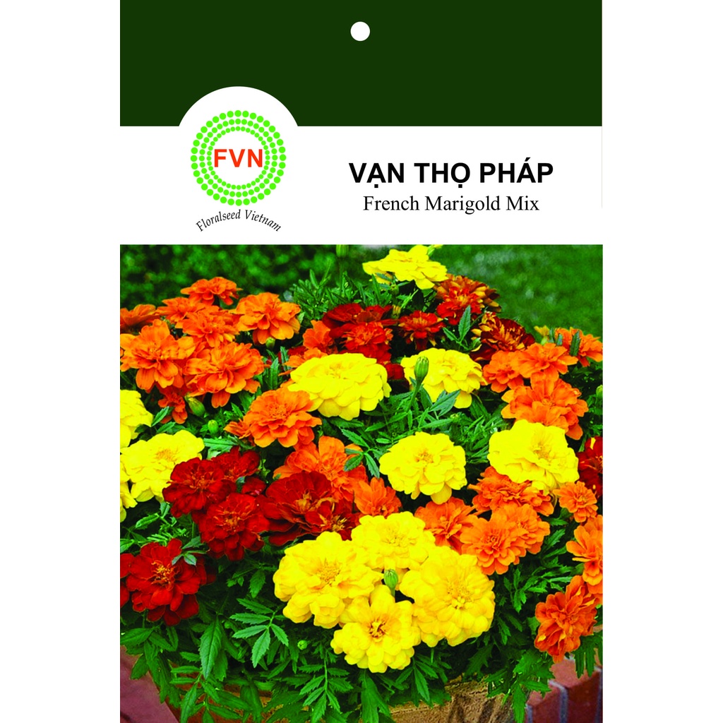 HẠT GIỐNG HOA VẠN THỌ PHÁP LÙN NHIỀU MÀU FVN GÓI 15 HẠT - FRENCH MARIGOLD MIX