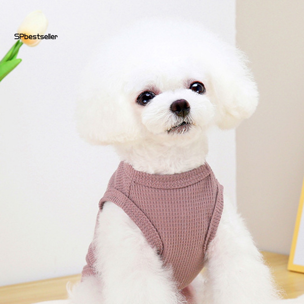 Áo Thun Polyester Cổ Tròn In Hình Gấu Thời Trang Mùa Xuân Cho Cún Cưng