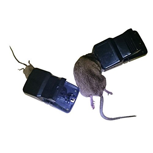 Bẫy chuột thông minh hàm cá xấu, bẫy được các loại chuột nhỏ và vừa, dễ sử dụng và hiệu suất dính chuột rất cao