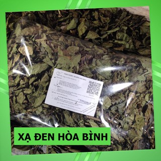 Cây Xạ Đen Rừng ( Xạ Đen Hòa Bình )