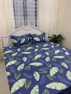 Bộ ga gối cotton Hàn Quốc