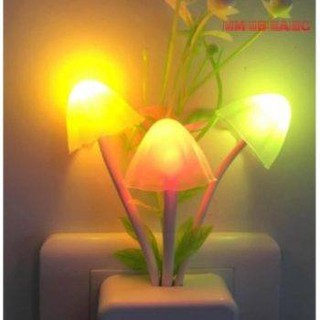 Đèn ngủ nấm cảm ứng