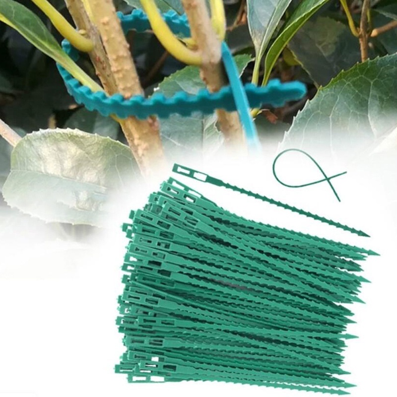 Bộ 10 Dây Nhựa Hỗ Trợ Trồng Cây Có Thể Điều Chỉnh Và Tái Sử Dụng