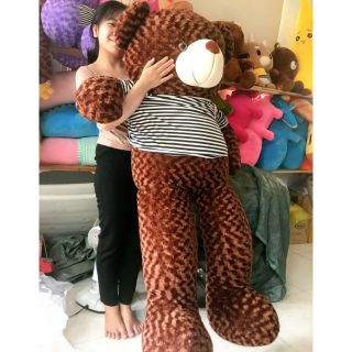 [Rẻ nhất shopee] Gấu bông teddy khổ 1m7 cao đúng 1m5