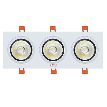Đèn led âm trần một, đôi, ba 10Wx2; 10wx3 Asia hàng chính hãng