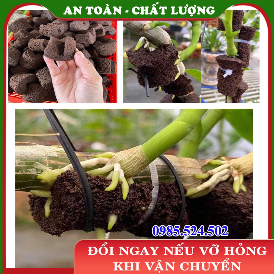 Viên mút hữu cơ kích rễ ươm kie lan, chiết cành, trồng thuỷ canh