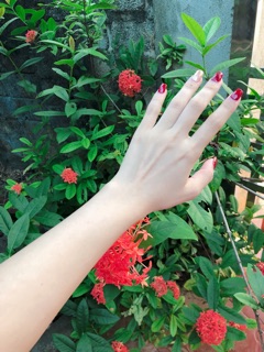 Bột tắm trắng thảo mộc Sam natural