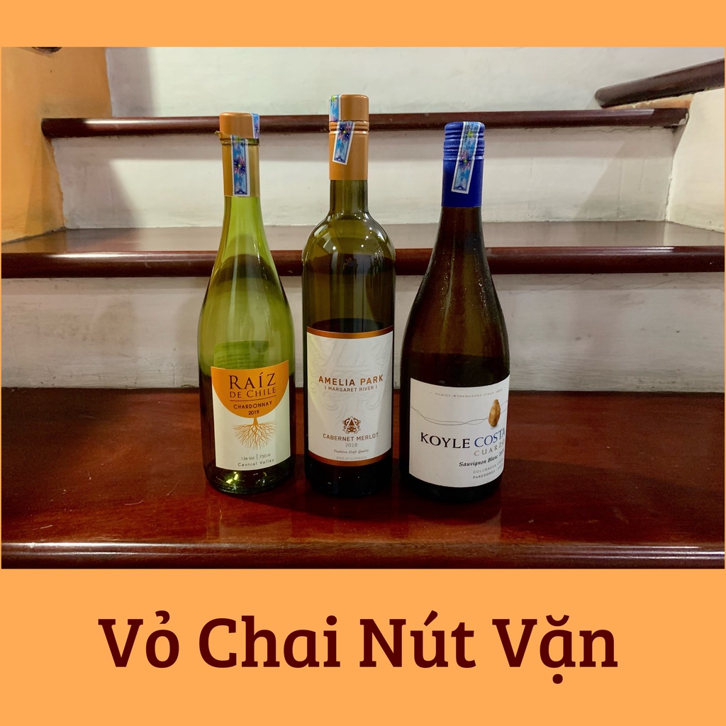 Vỏ chai rượu vang, vỏ chai rượu ngoại trang trí 750ml SHOPRUOUVANGUYTIN.STORE