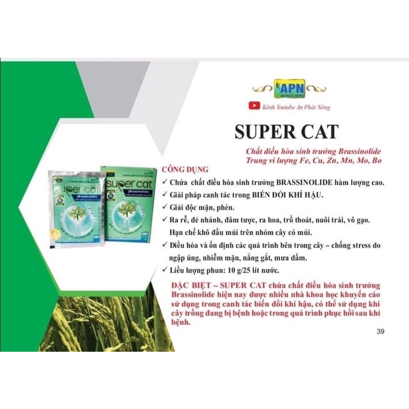 Điều Hoà Sinh Trưởng Super Cat Biến Vàng Thành Xanh 10Ml, 50Ml