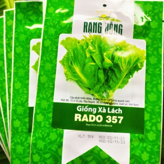 10g Giống xà lách chịu nhiệt trồng quanh năm