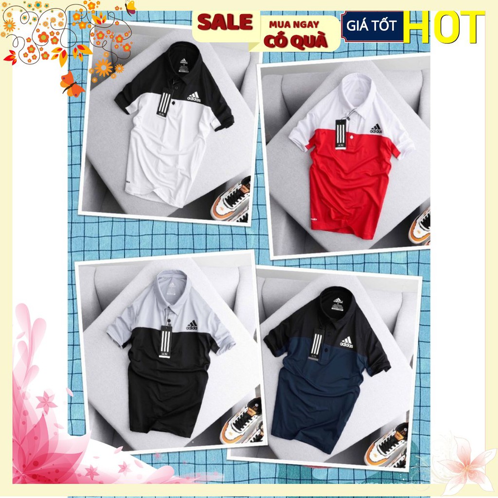 ÁO PHÔNG DA.S NAM CỔ ĐỨC 4 MÀU M23 | BigBuy360 - bigbuy360.vn