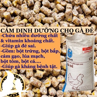 1kg cám gà đẻ c24 bổ sung khoáng chất, giúp gà đẻ sai [thức ăn gà]