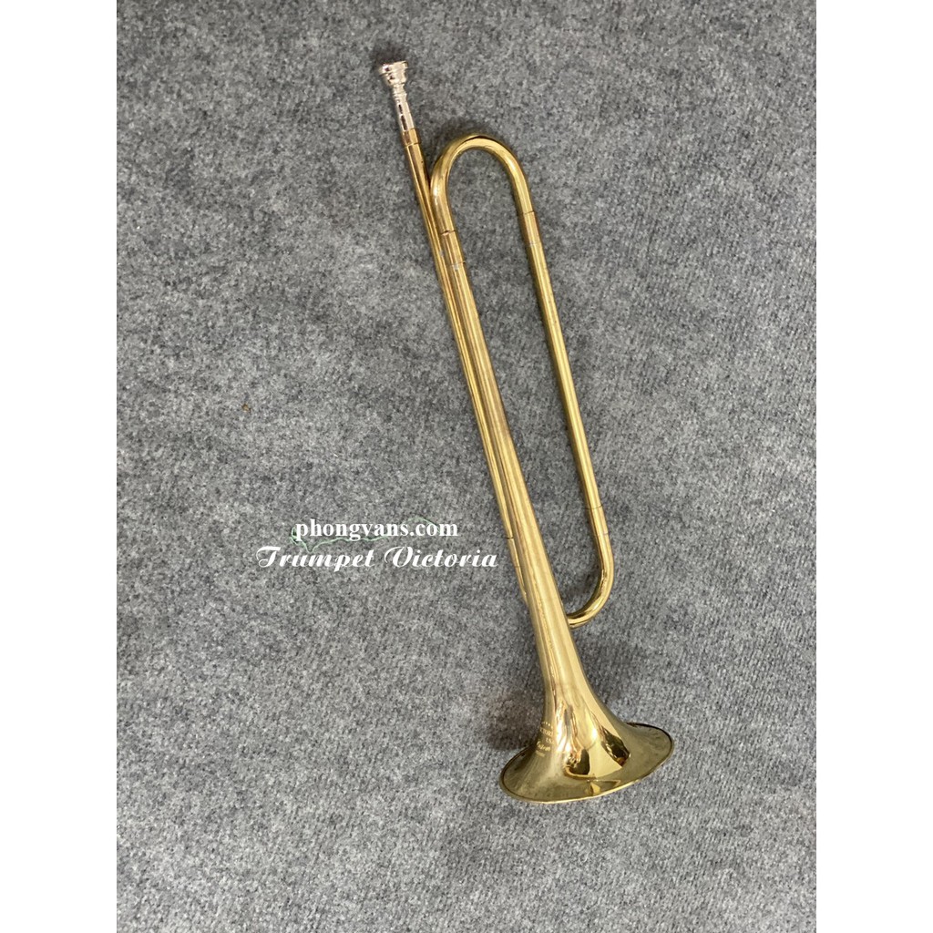 Kèn trumpet đồng vàng không phím bấm nhạc cụ kèn trường học