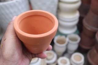 Chậu đất nung trồng cây