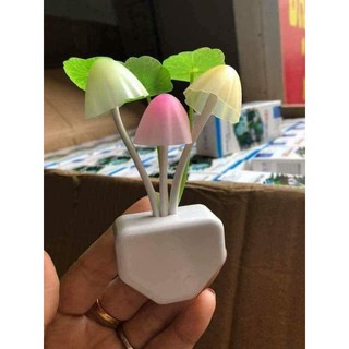 Đèn ngủ hình nấm