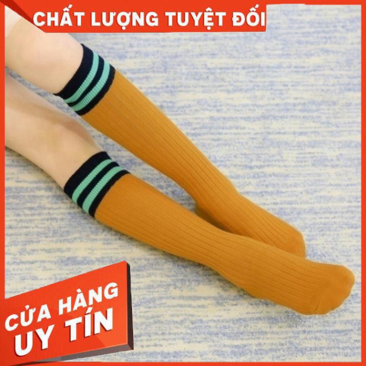 [FREE SHIP] Vớ tất dài qua đầu gối cho bé gái từ 5 đến 10 tuổi hàng chất