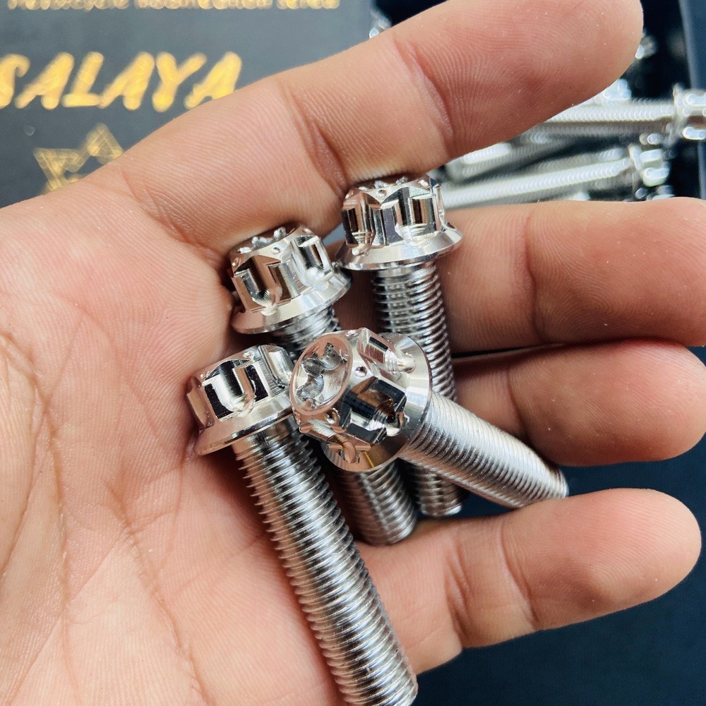 BỘ SƯU TẬP CÁC LOẠI ỐC SALAYA 10LY ĐẦY ĐỦ CÁC SIZE 10LY23 - 10LY4 - 10LY5 - 10LY6, BAO RỈ SÉT, BAO SÁNG BÓNG